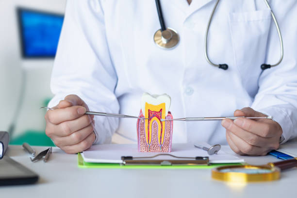 Best Mobile Emergency Dentist in Cairo, IL